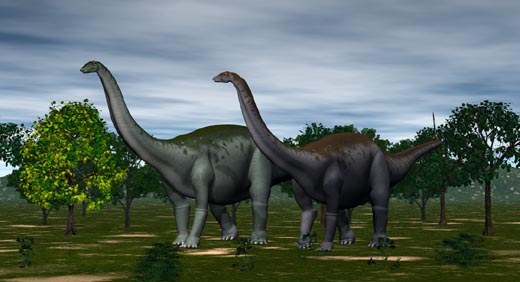 Mokele-mbembe  The World of Animals