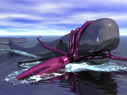 Giant Squid - Extreme Science | Science.